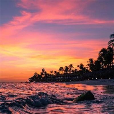 双赢彩票官方网站app下载