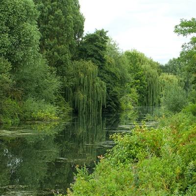 金博宝官网下载手机版