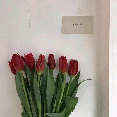 ManBetX客户端登录手机app下载