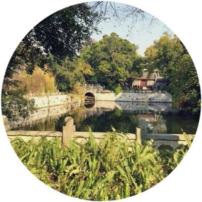 乐鱼官网手机版手机app下载