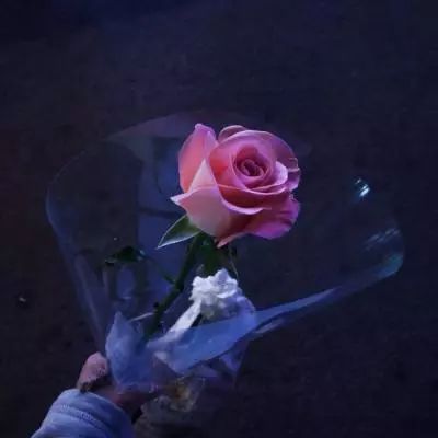 kok中欧登录入口app下载